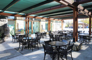 Purrfect Picnics Kansas City Zoo