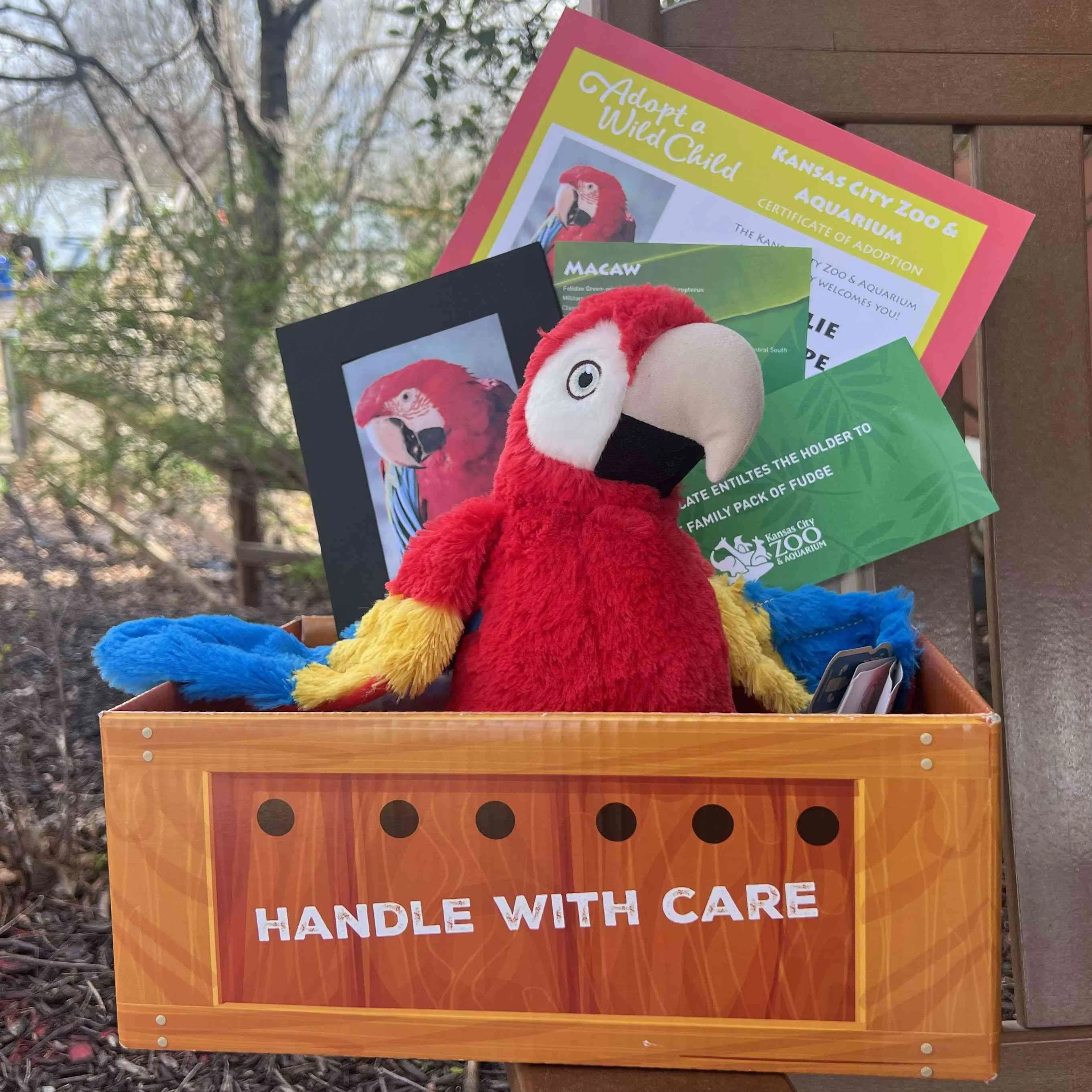 A photo of a macaw plush with a certification letter and gift basket.