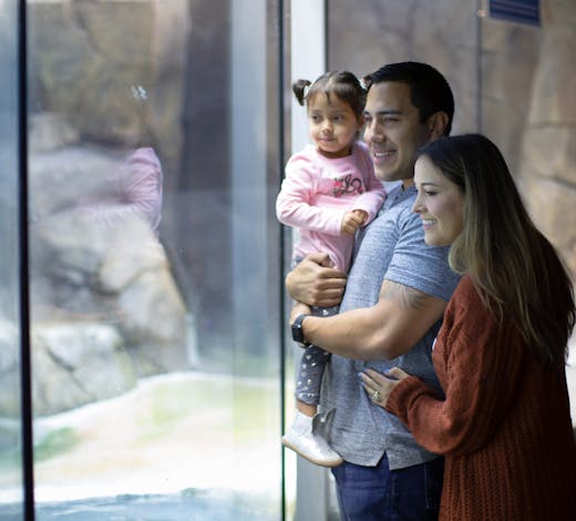 Father holding toddler girl and standing next to mother looking into zoo exhibit