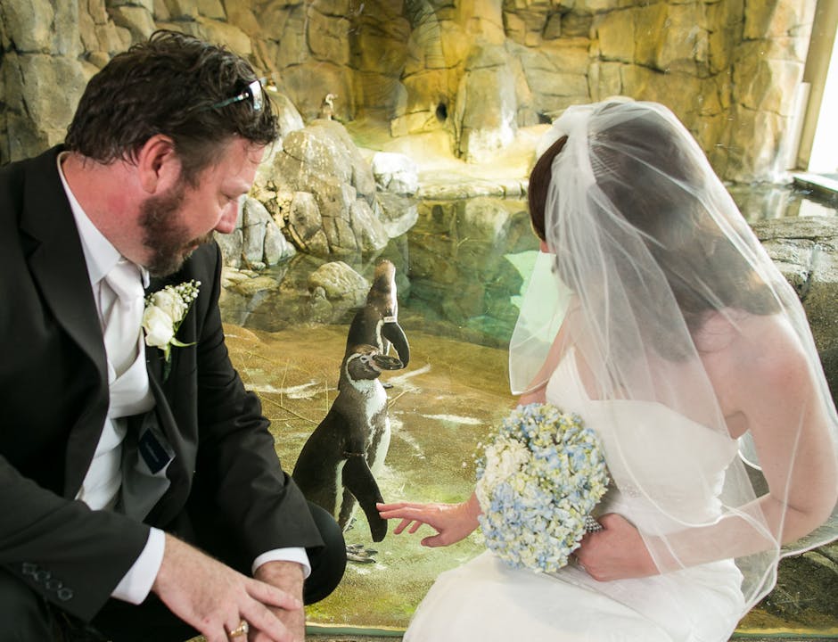 a married couple crouching next to penguins