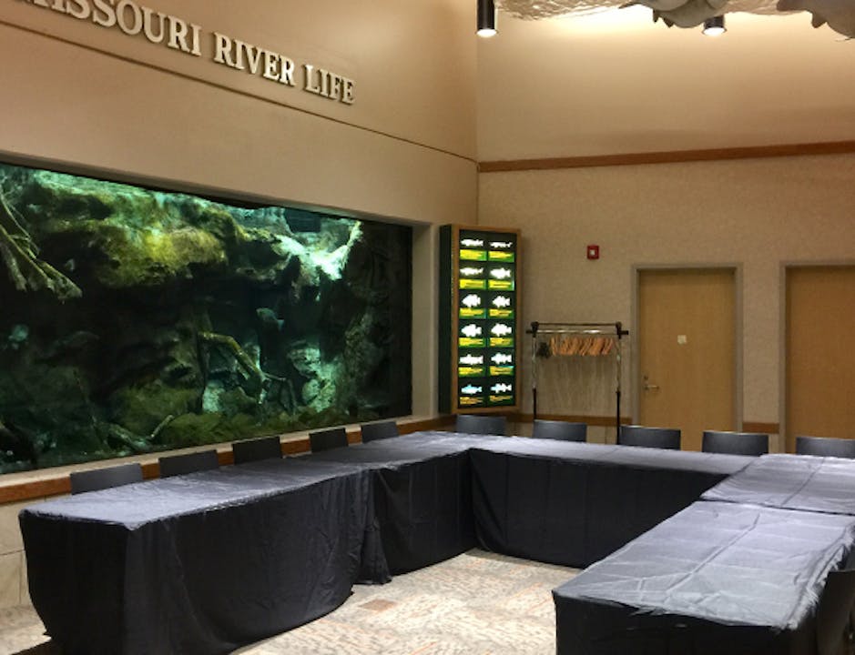 five tables set up in a u-shape with a view of a large freshwater aquarium in the wall behind