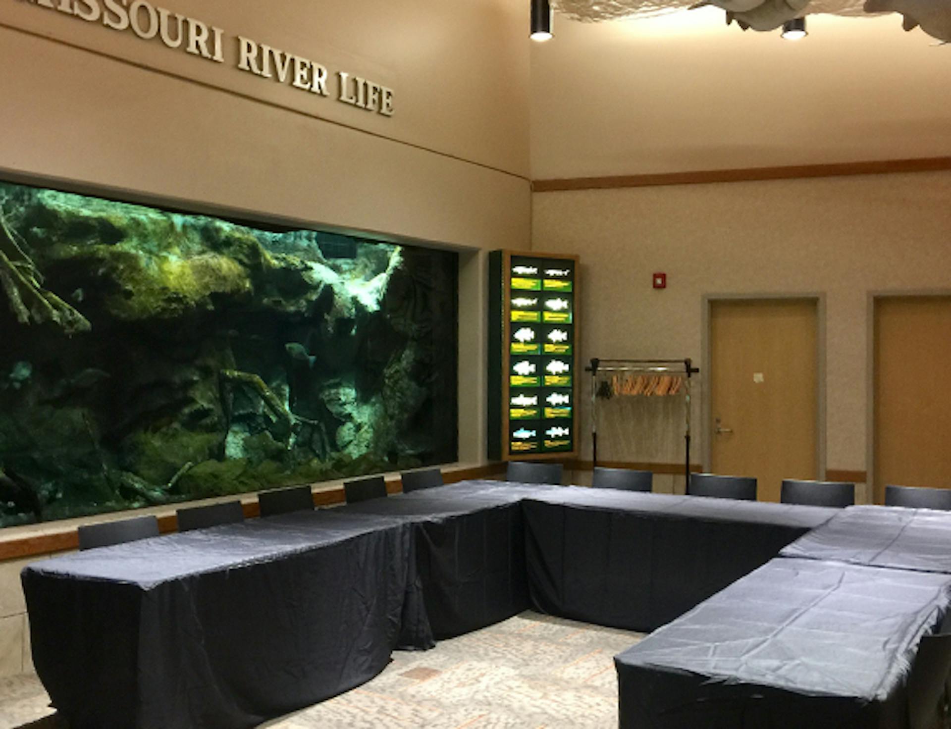 five tables set up in a u-shape with a view of a large freshwater aquarium in the wall behind
