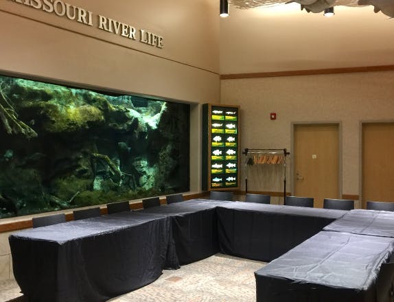 five tables set up in a u-shape with a view of a large freshwater aquarium in the wall behind