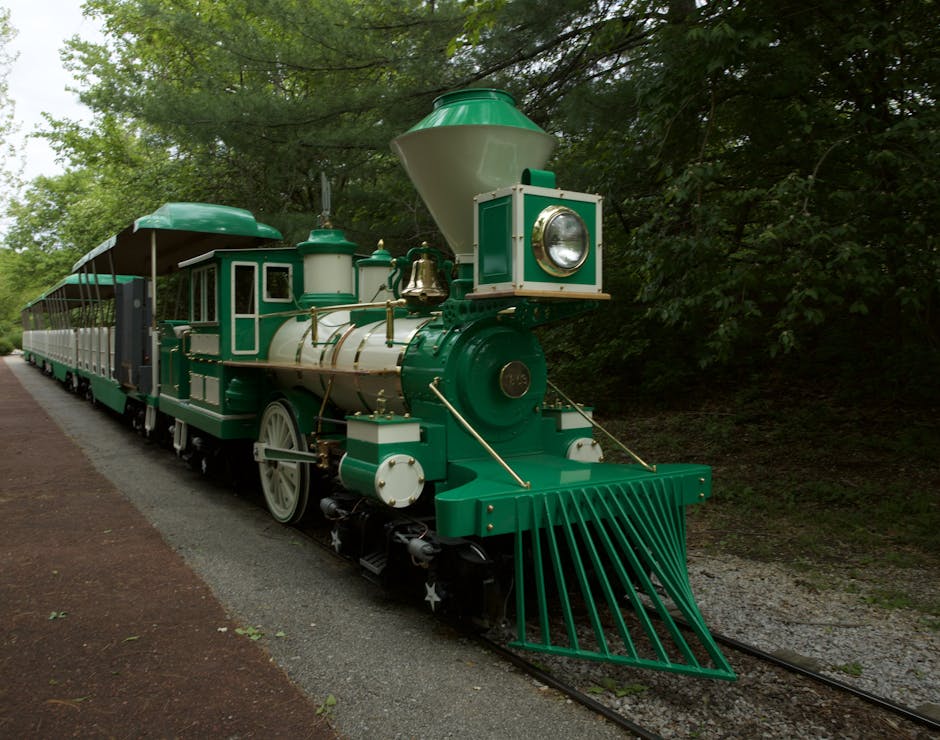 green and white train surrounded by trees