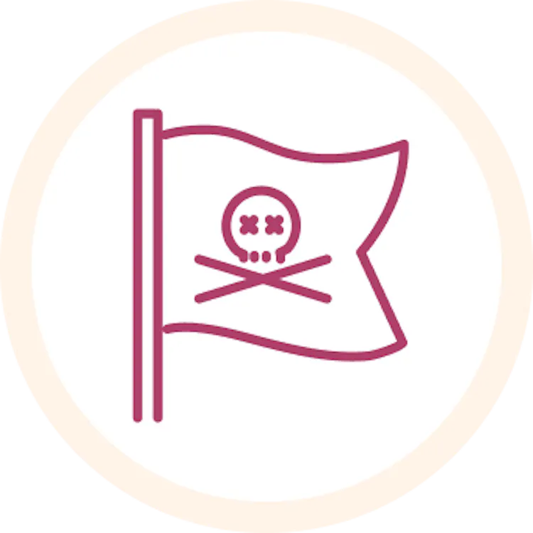 Pirate flag icon