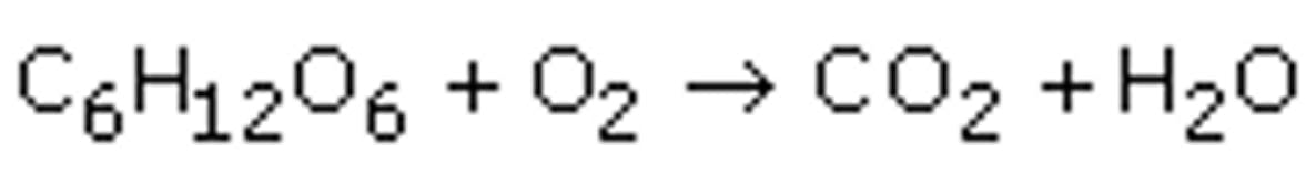 mcat-practice-question