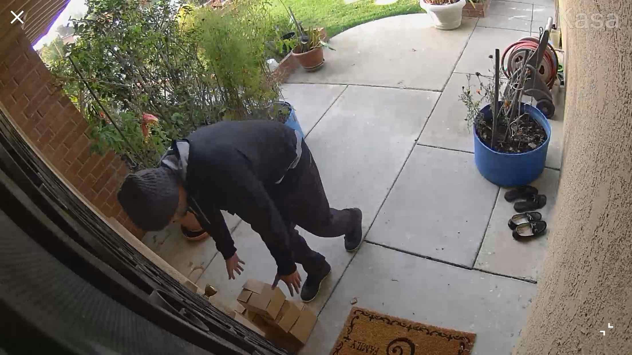 package theft