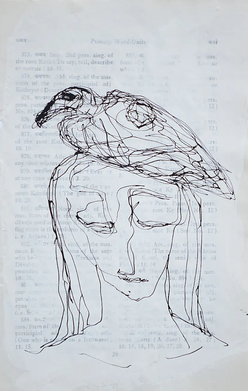 the saint and the oystercatcher Oak gall ink  24 x 16 cm 2016