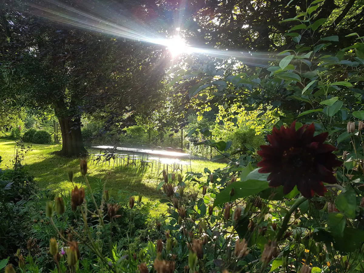 the garden as I arrived