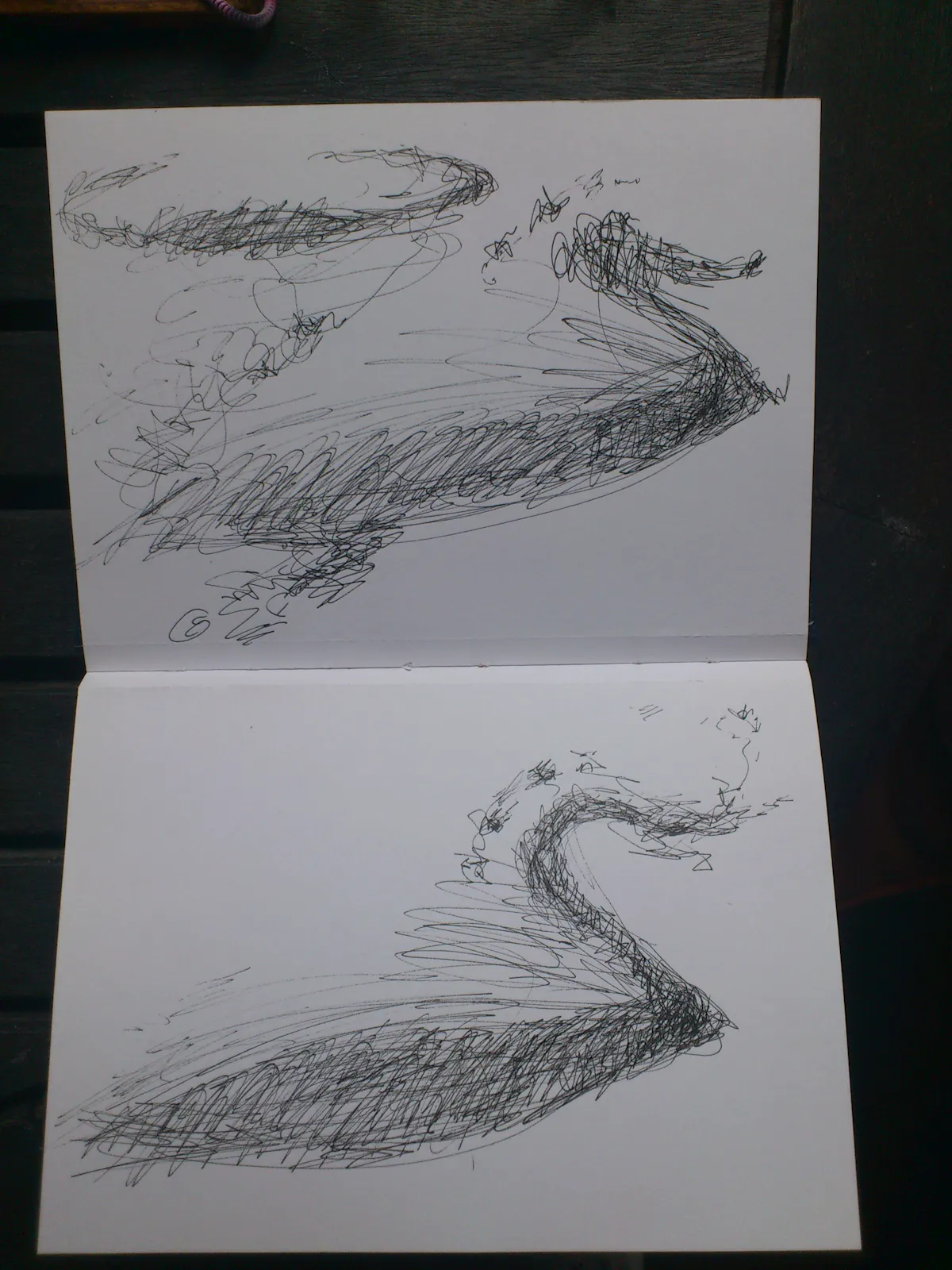 drawings of the little Egrets, forming in the clouds, Lake Trasimeno, on the way back across the lake from Isola Maggiore. September 2012.