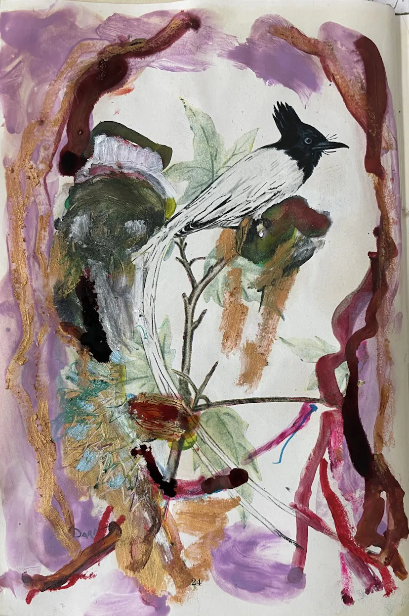 Face with pied bird. Drawing in book. 20 x 12 cm 2025