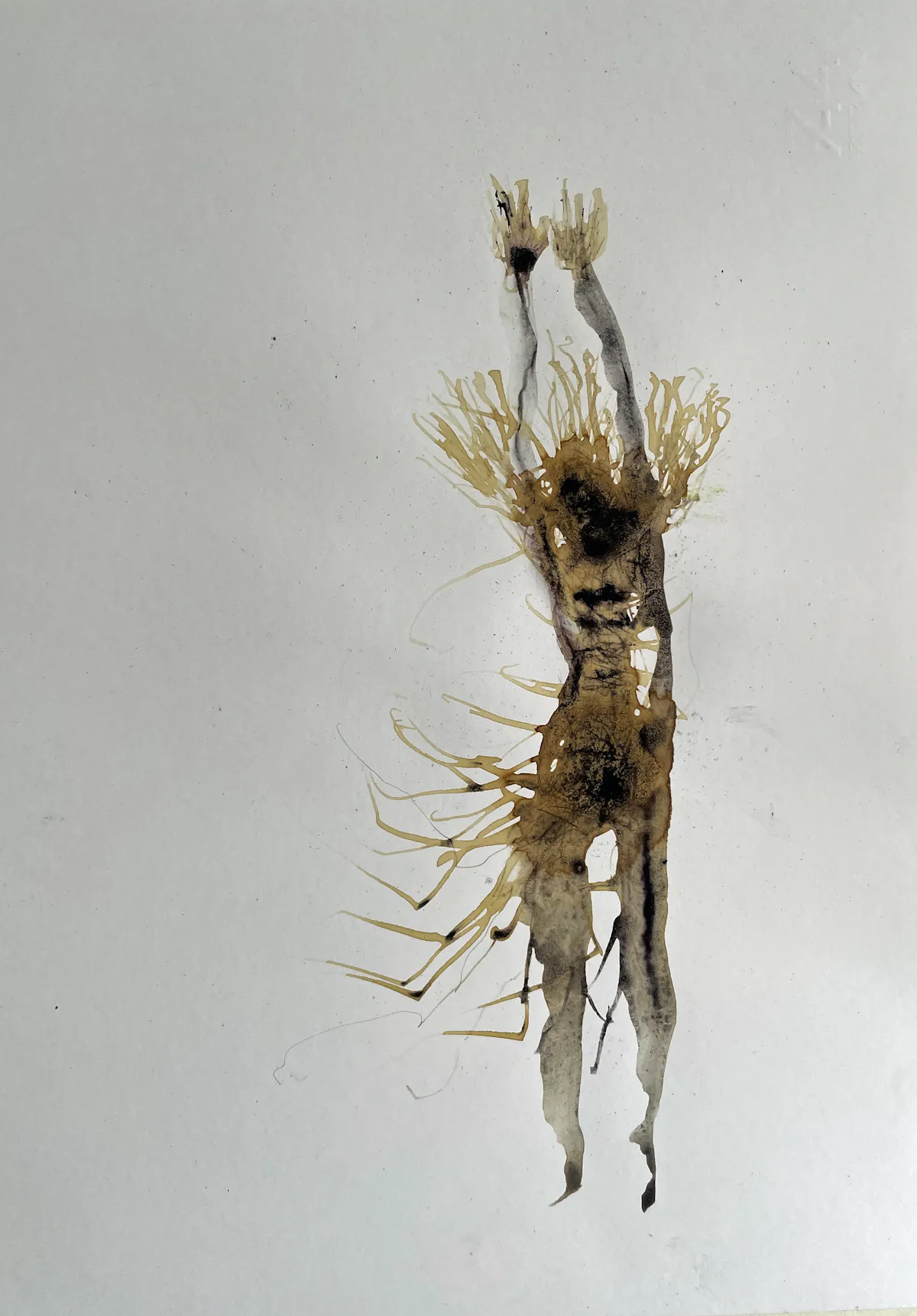 Antennae