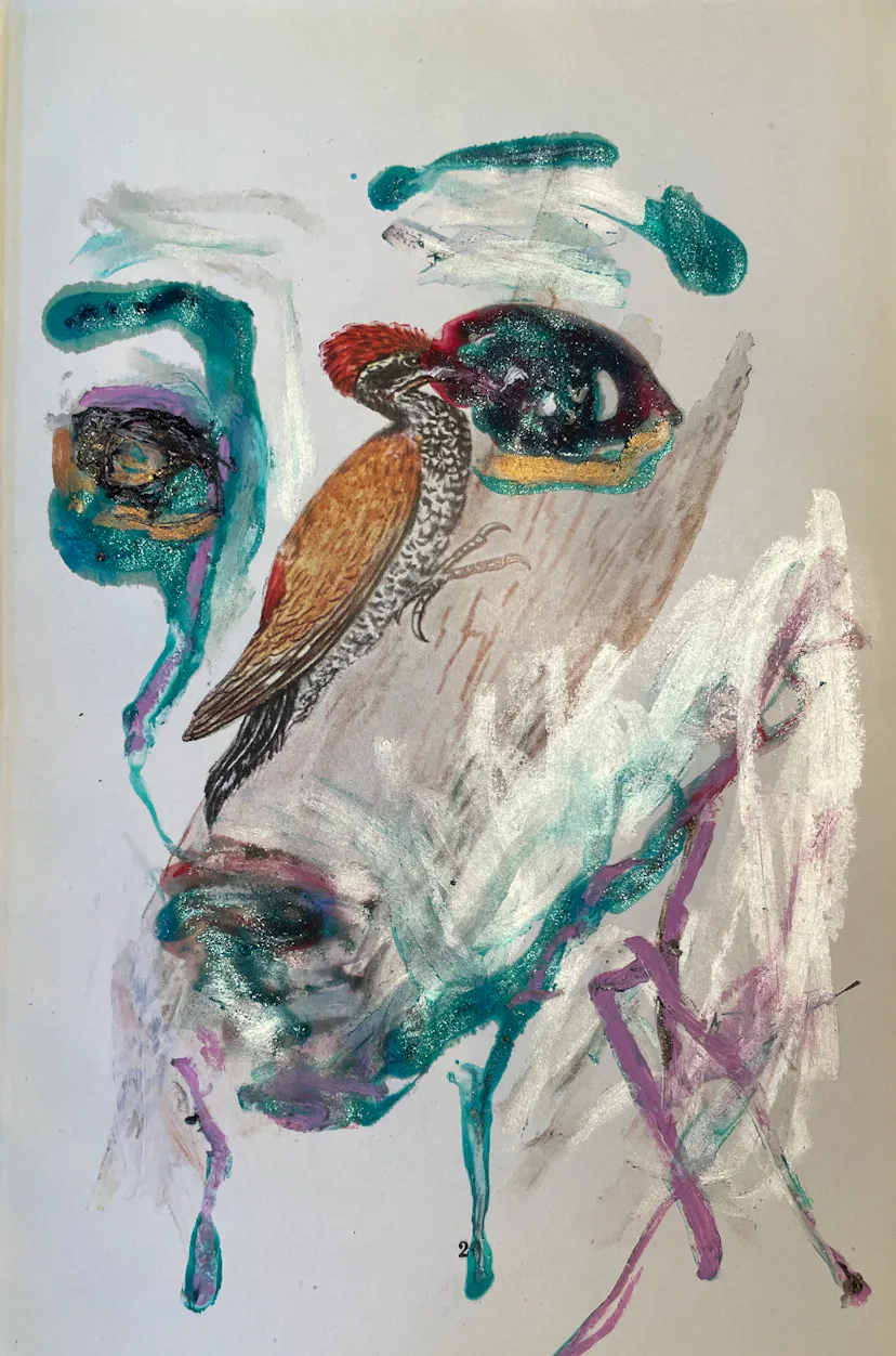 Face with Bird