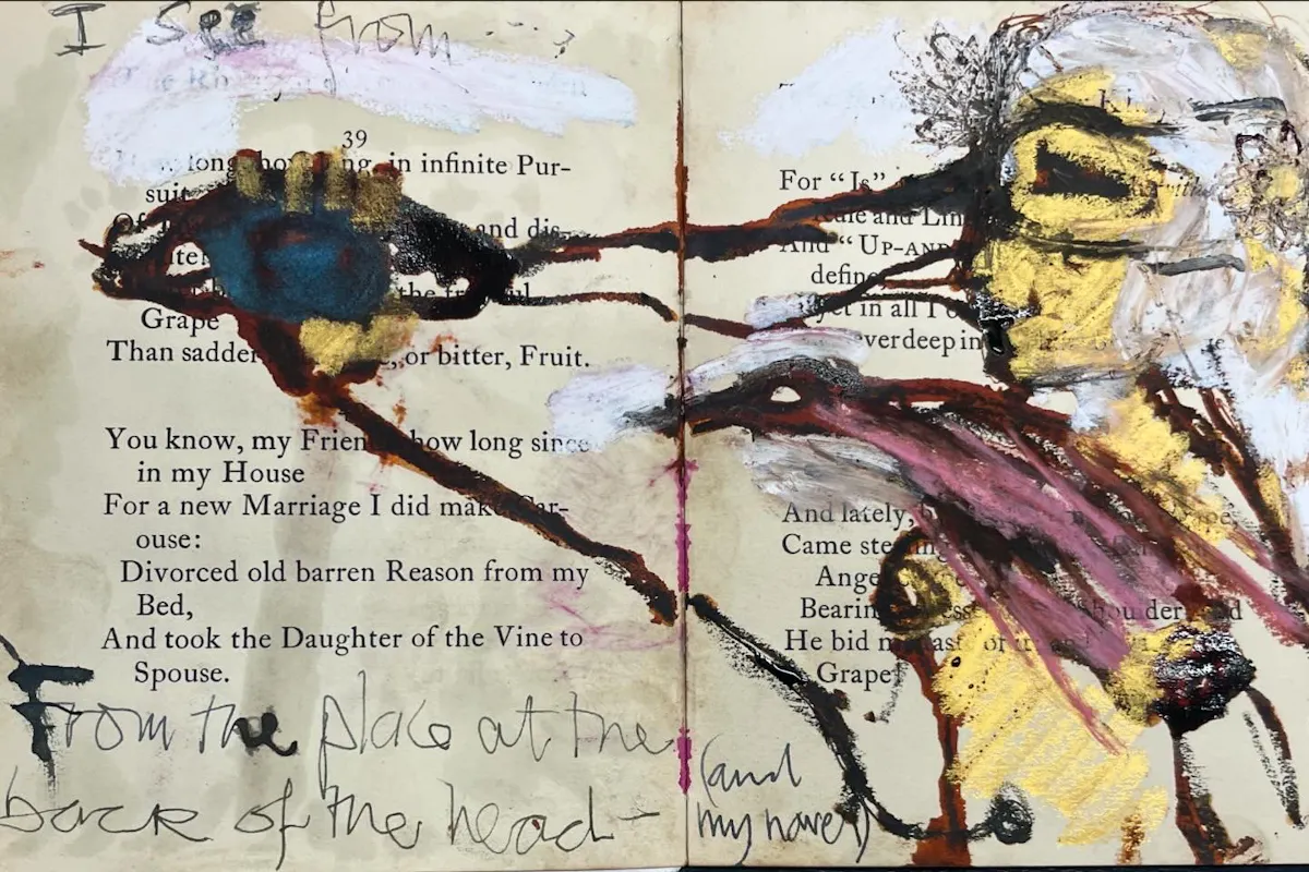 Book drawing with sight March 2024