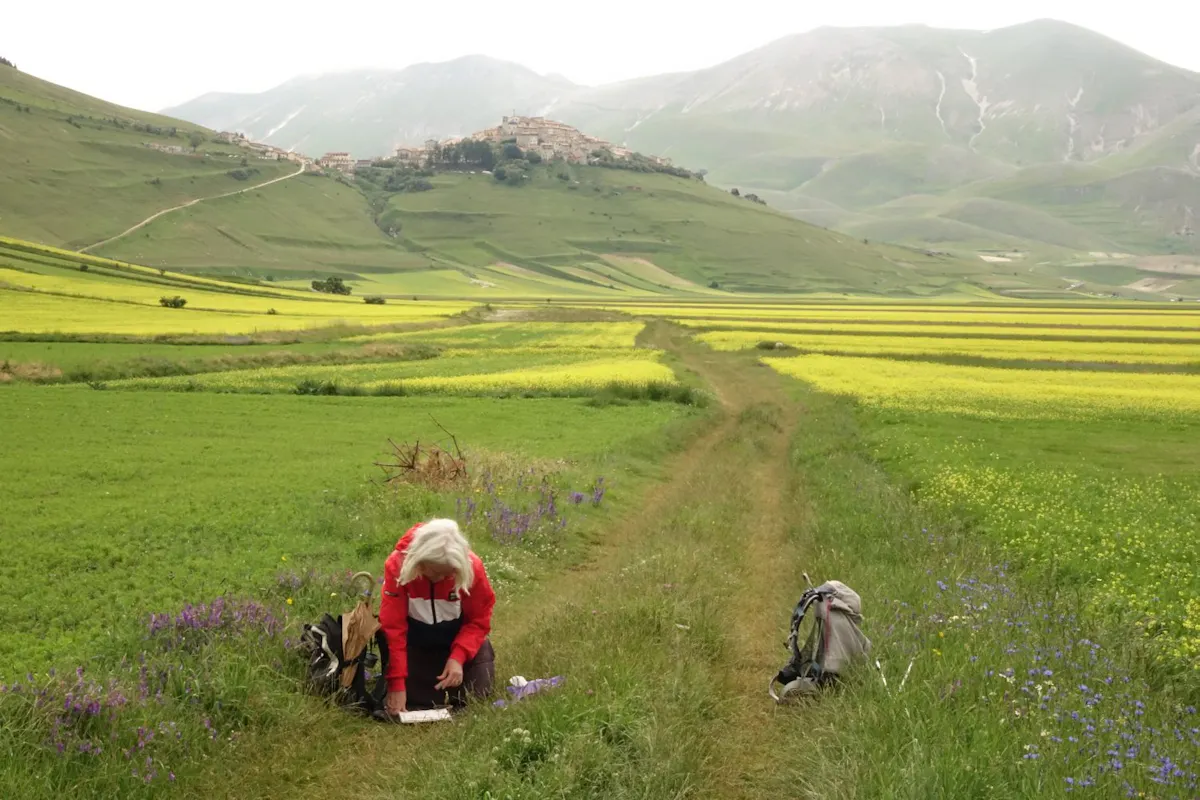 1 drawing on the path, Castelluccio, Italy 2015, Kate