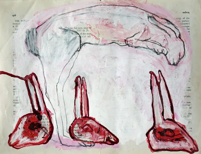 Hare drawing 2016