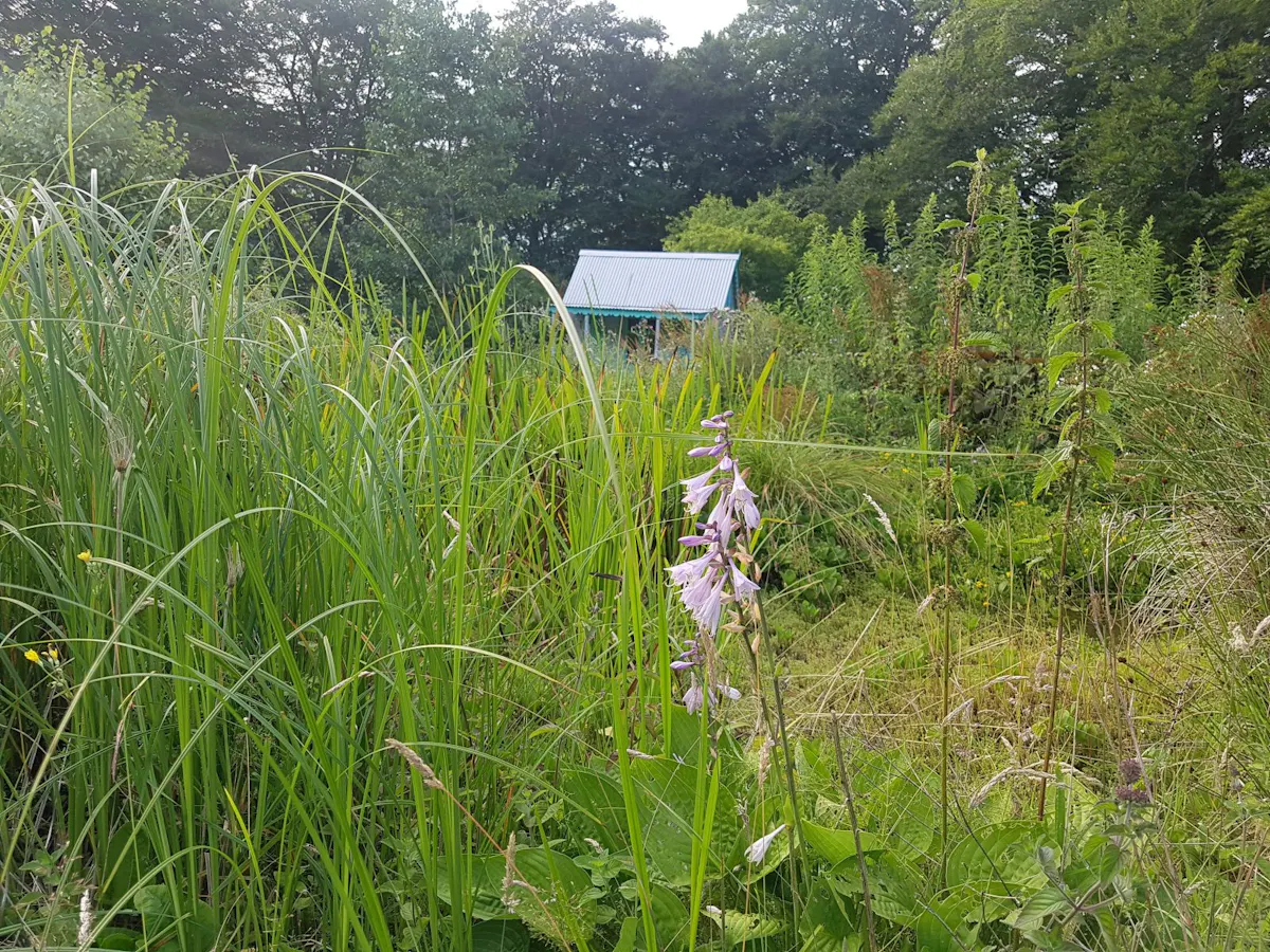 little hut in a garden