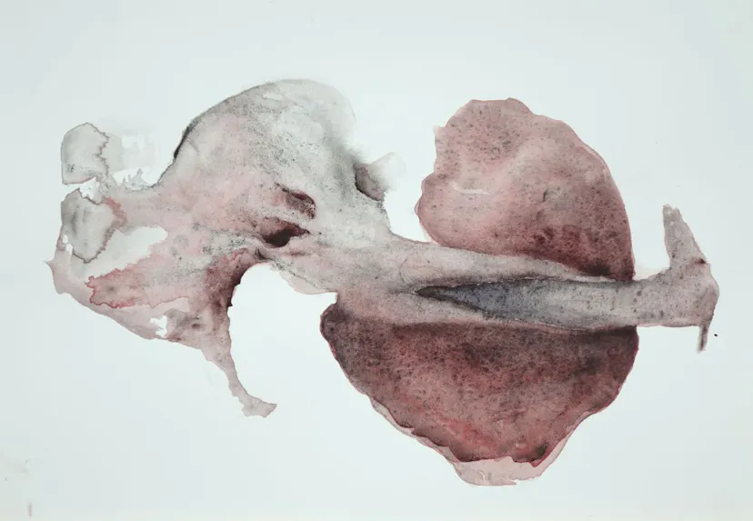 Skull with Birth Canal
