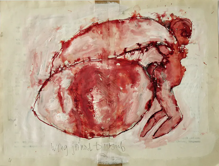 Wing joined to womb drawing, ink