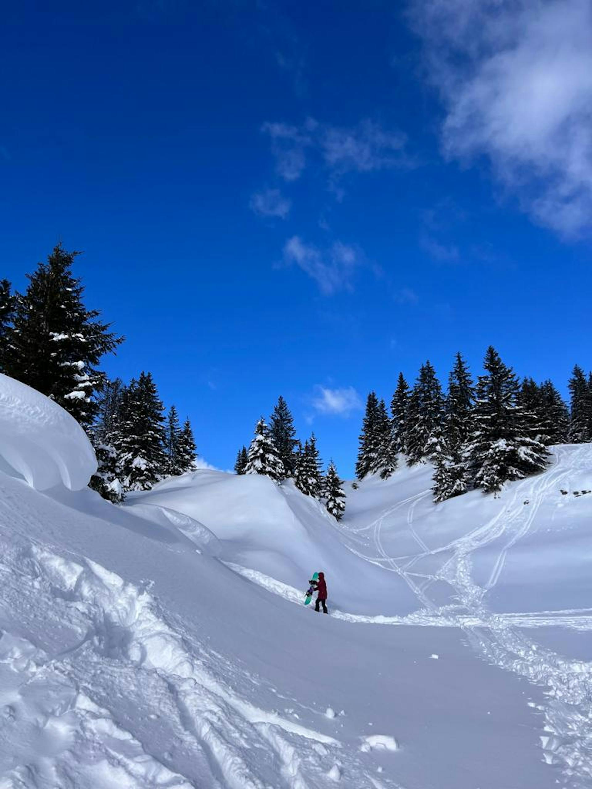 image of snowboarding