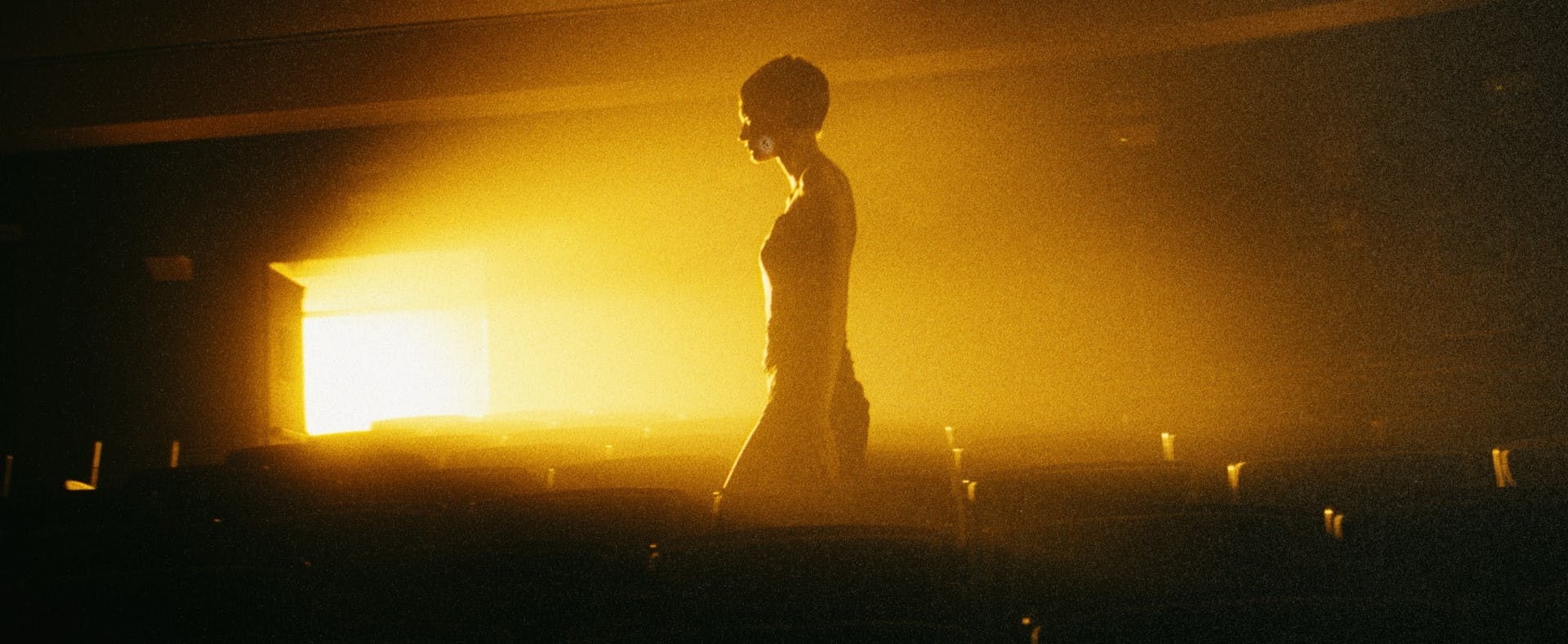 Zara Free To Be Wild DC