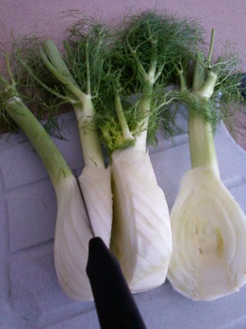 Fennel bulbs