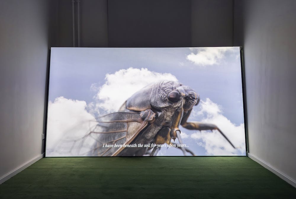 Installation view: She Who Moves, 2025, Photo: David von Becker