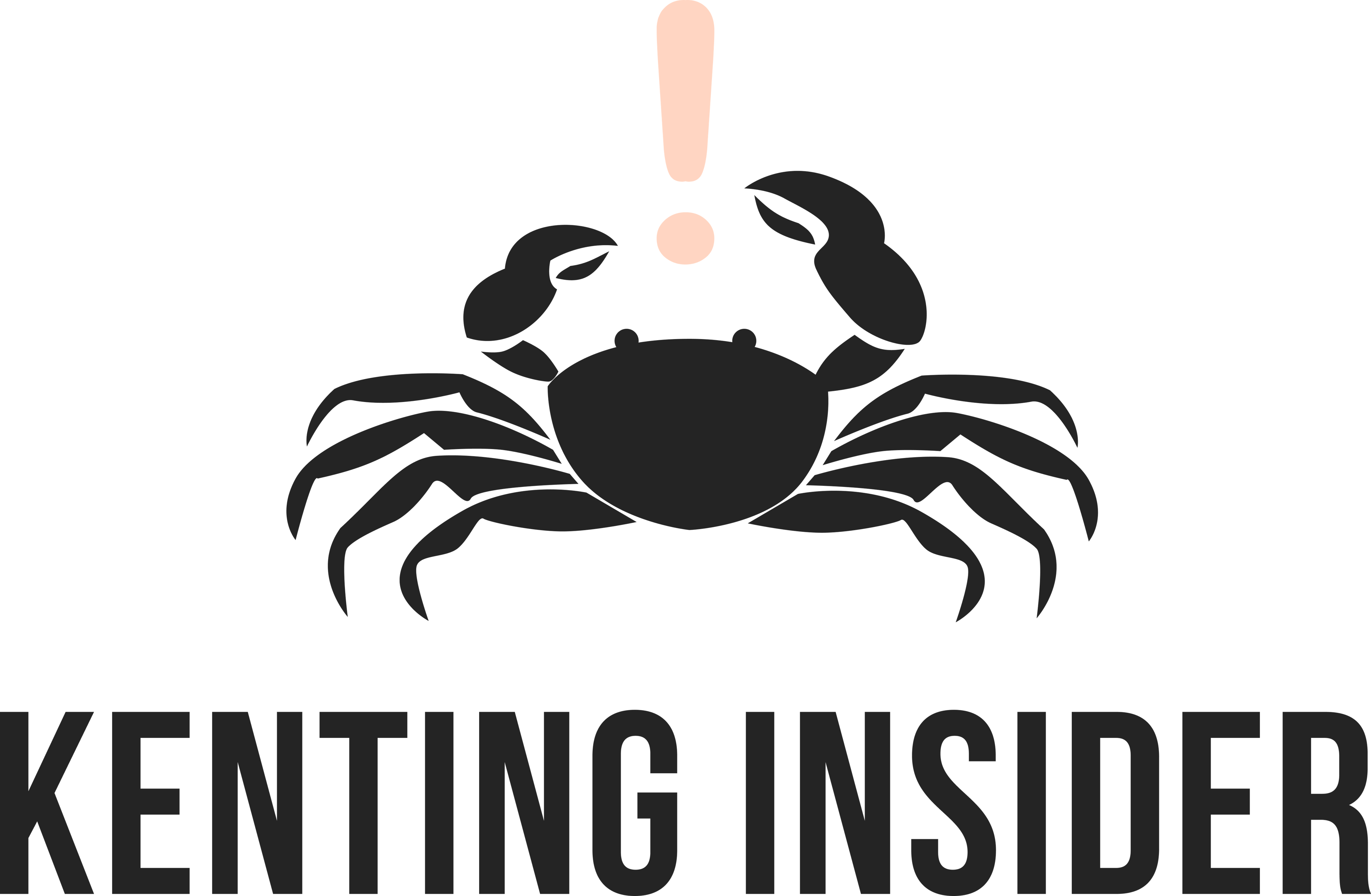 Kenting Insider Logo