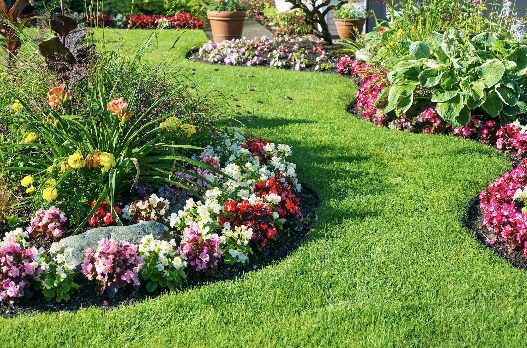 Garden Bed Design