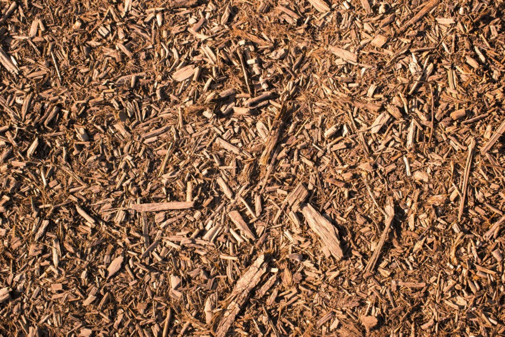Mulch – Shredded Pine