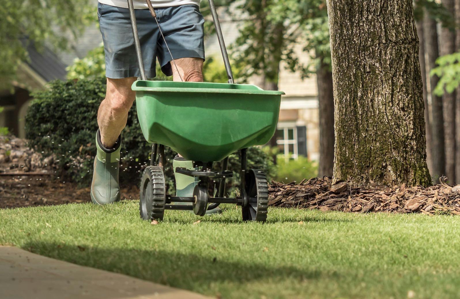 Overseeding