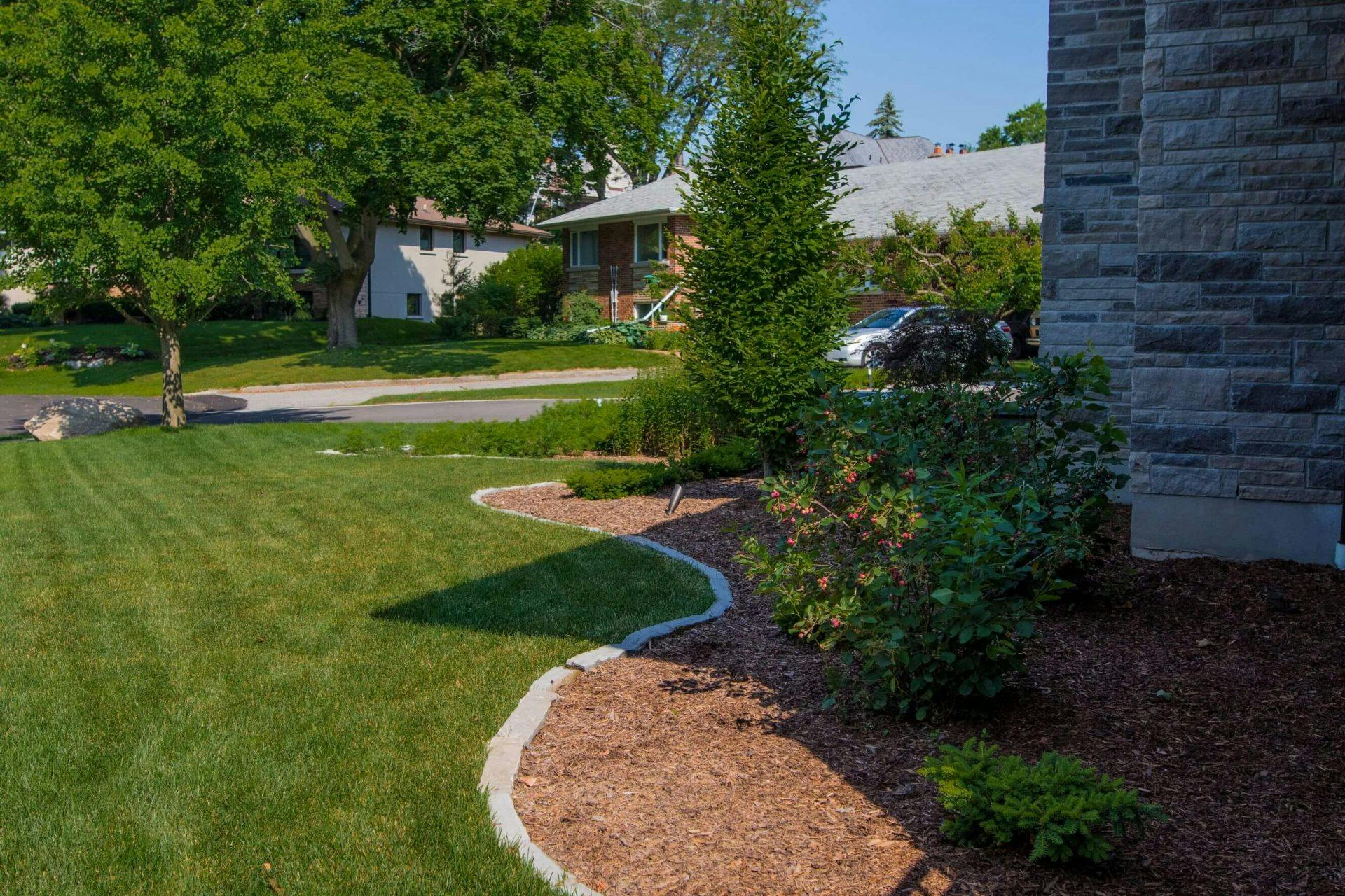 Maintained garden with mulch