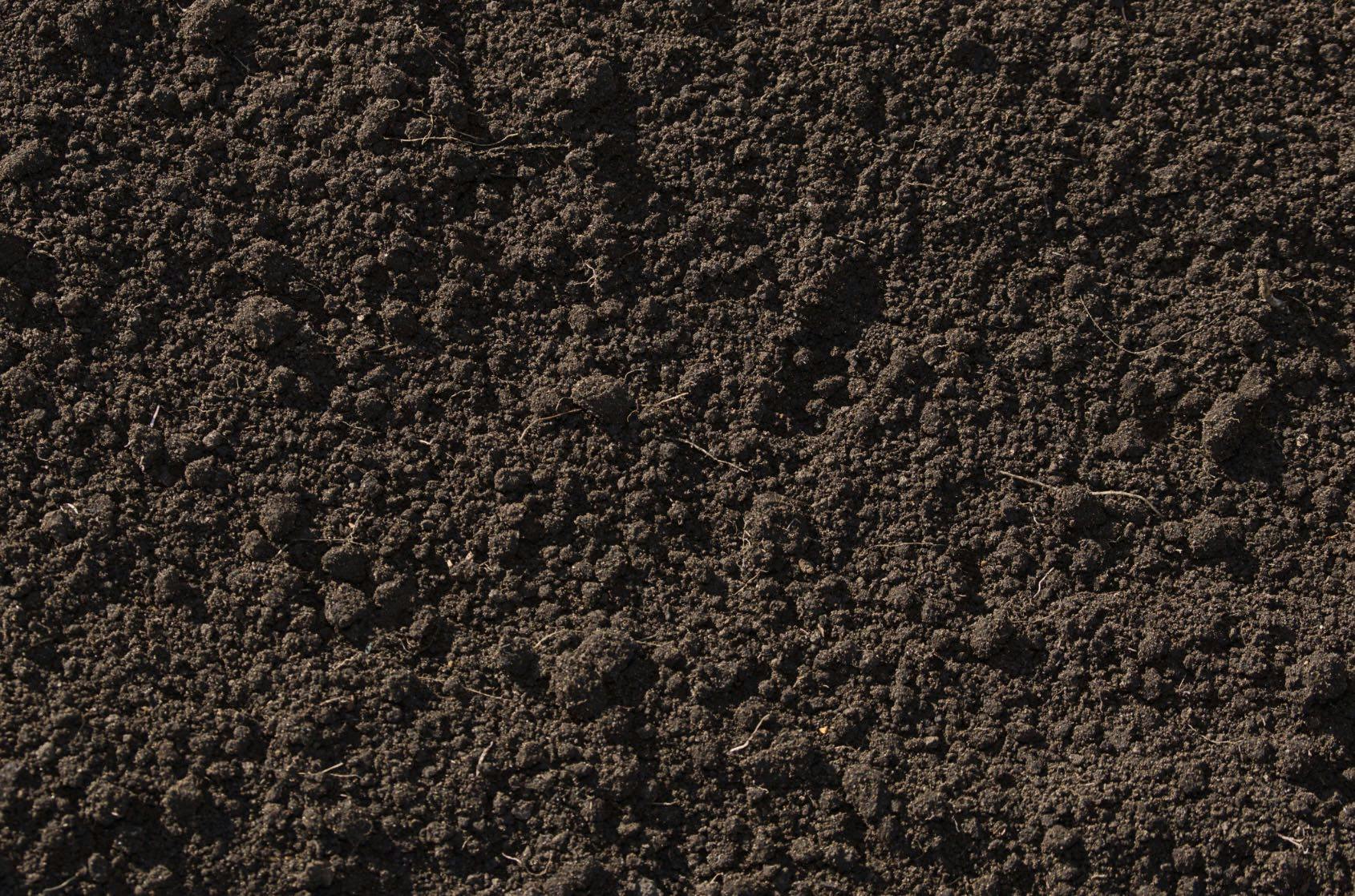 50/50 Soil Mix