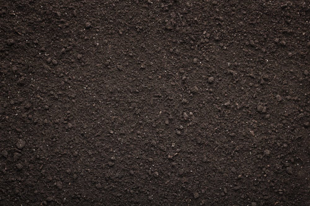 Screen Topsoil