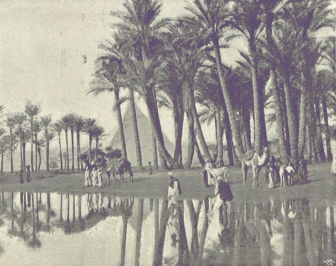 A sepia-toned photograph of people in galabeyas, walking with their camels in and near the Nile. Date palms and a pyramid are in the background.