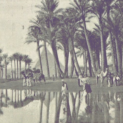 A sepia-toned photograph of people in galabeyas, walking with their camels in and near the Nile. Date palms and a pyramid are in the background.