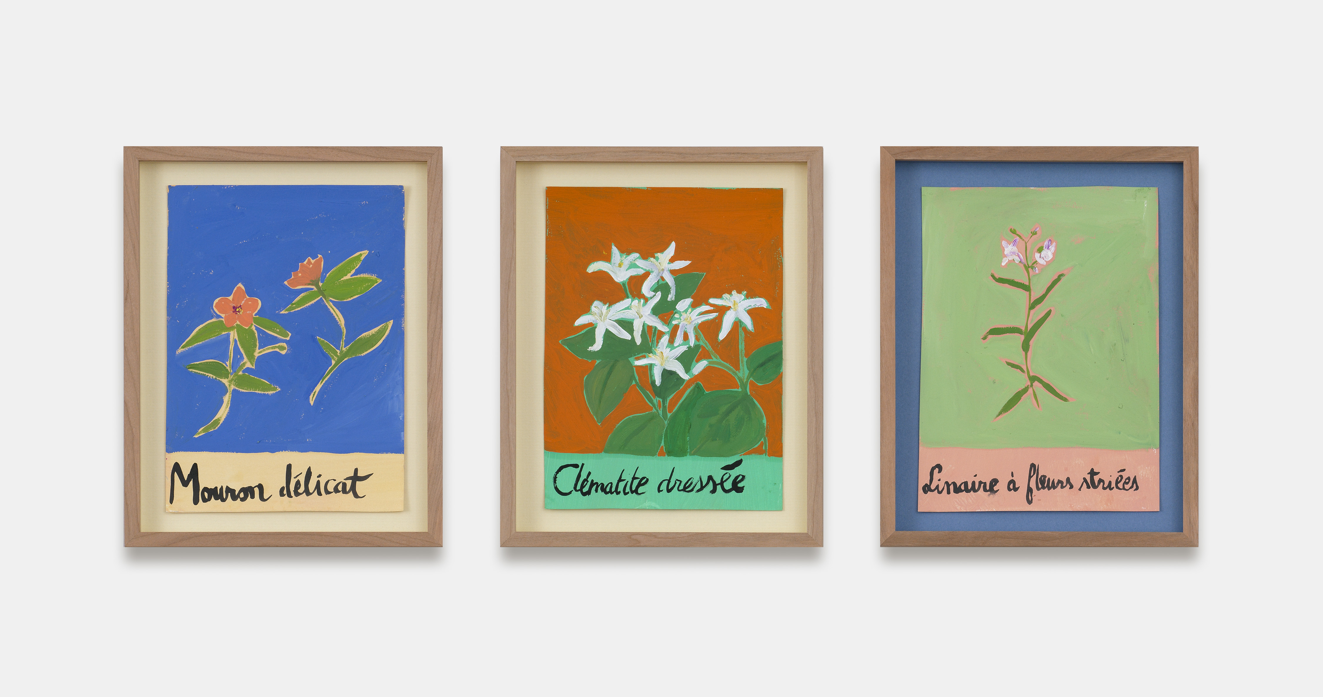 Johanna Dumet - Les bouquets impossibles - News - KEWENIG