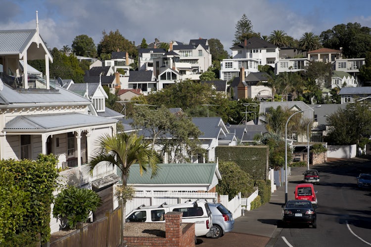 View of an Auckland residential street