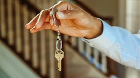 NZ Best Tenant Checks