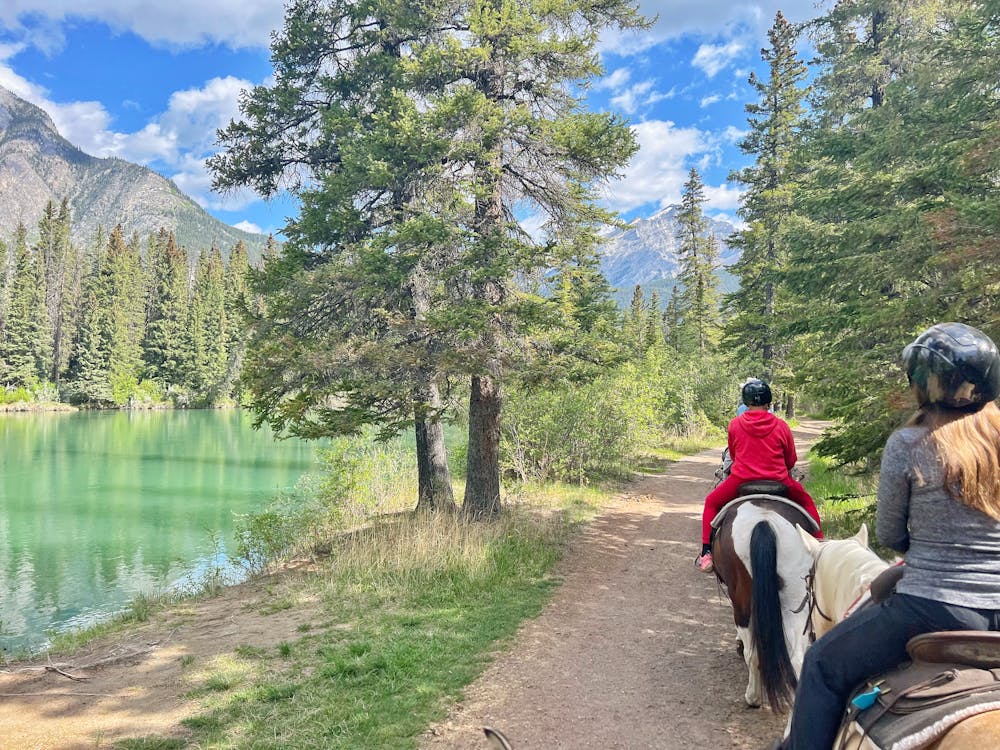 Banff Trail Riders offering Horseback Riding