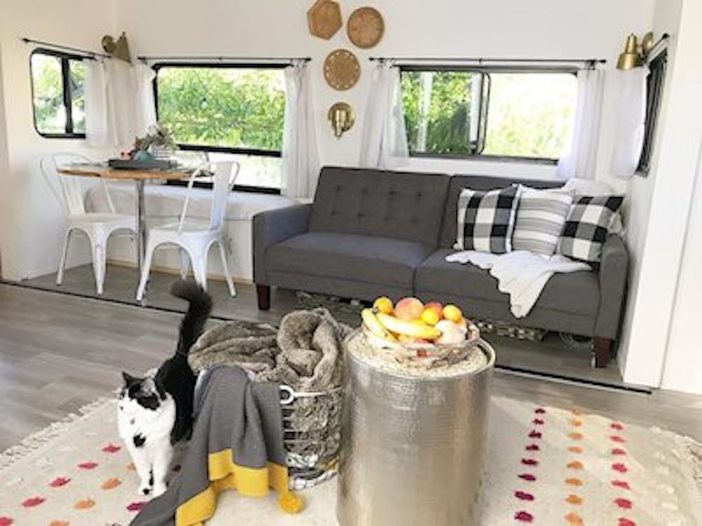Cat standing inside living space of white fifth wheel 