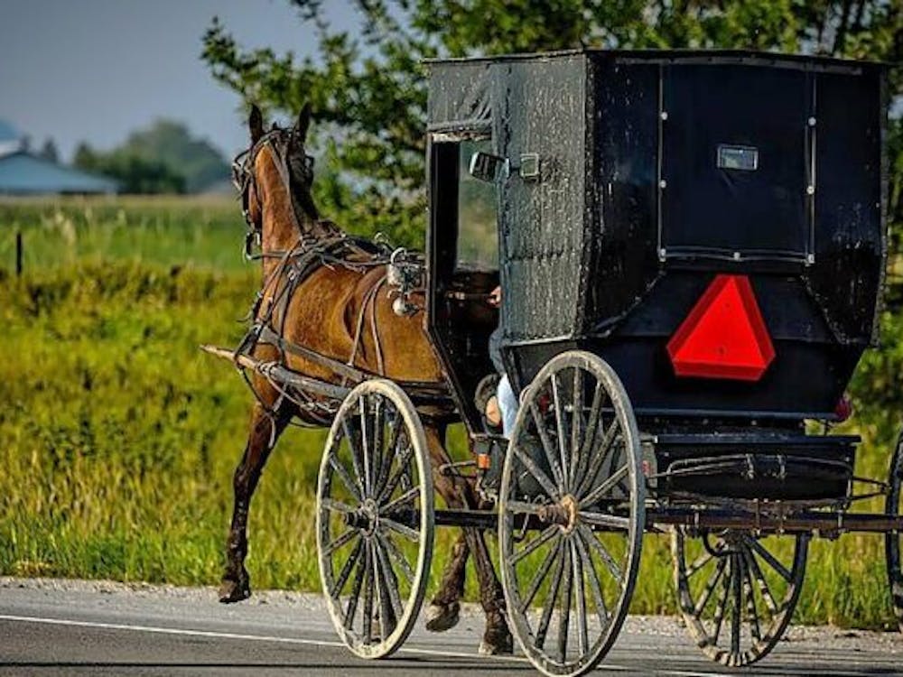 Amish Heritage and Culture
