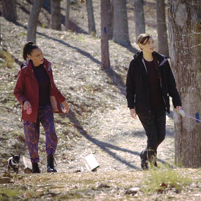 Two women walking thier dogs in the woods.