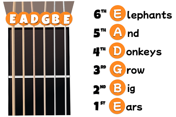 the-guitar-string-names