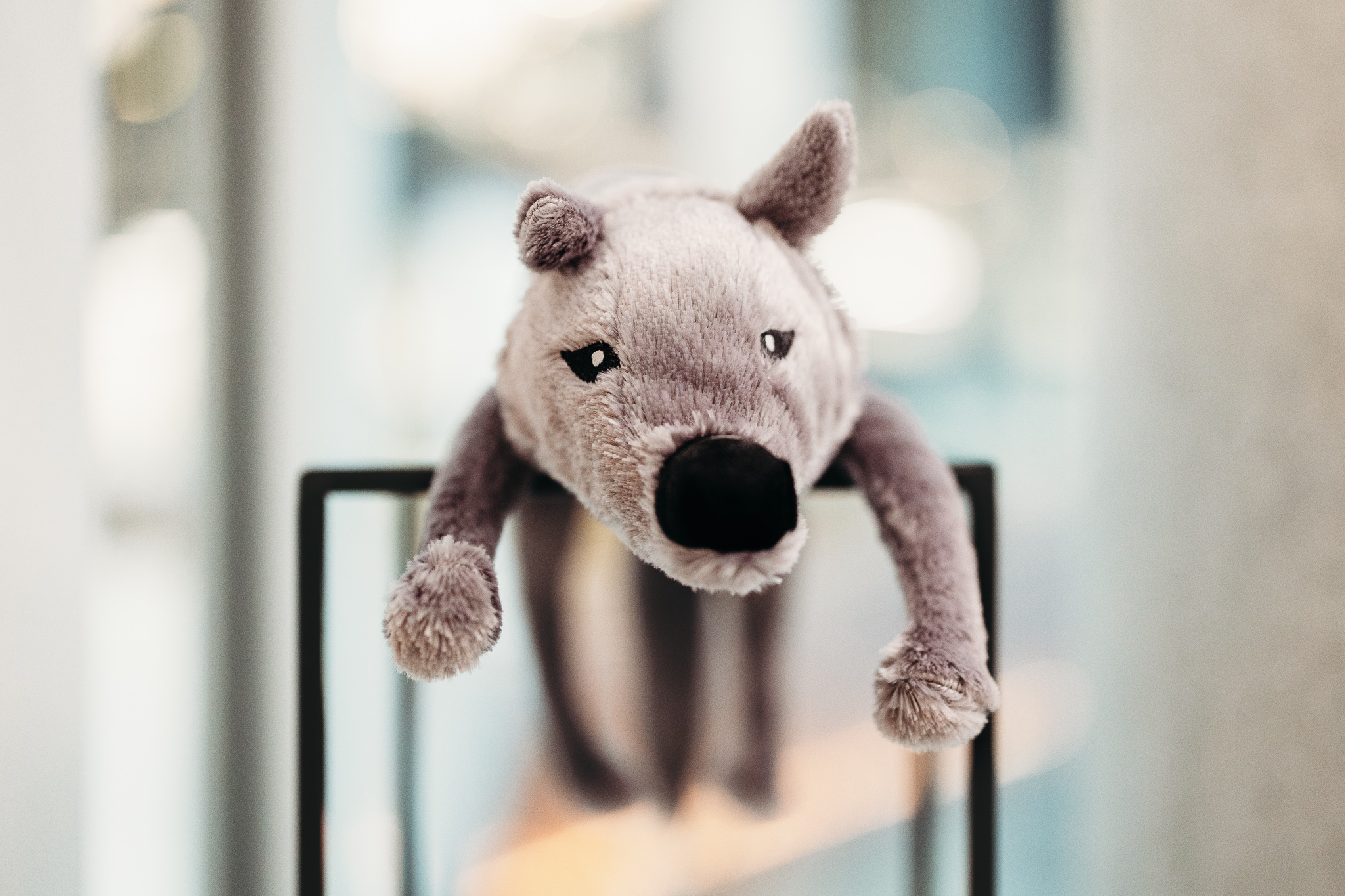 Fot. Beata Muchowska