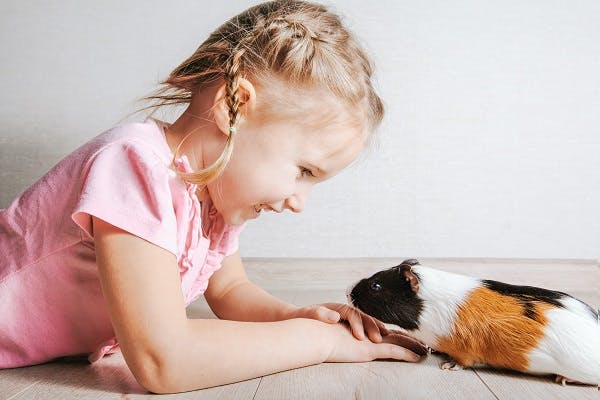 Какое Животное Завести для Ребенка в Квартире | Блог Kidskey