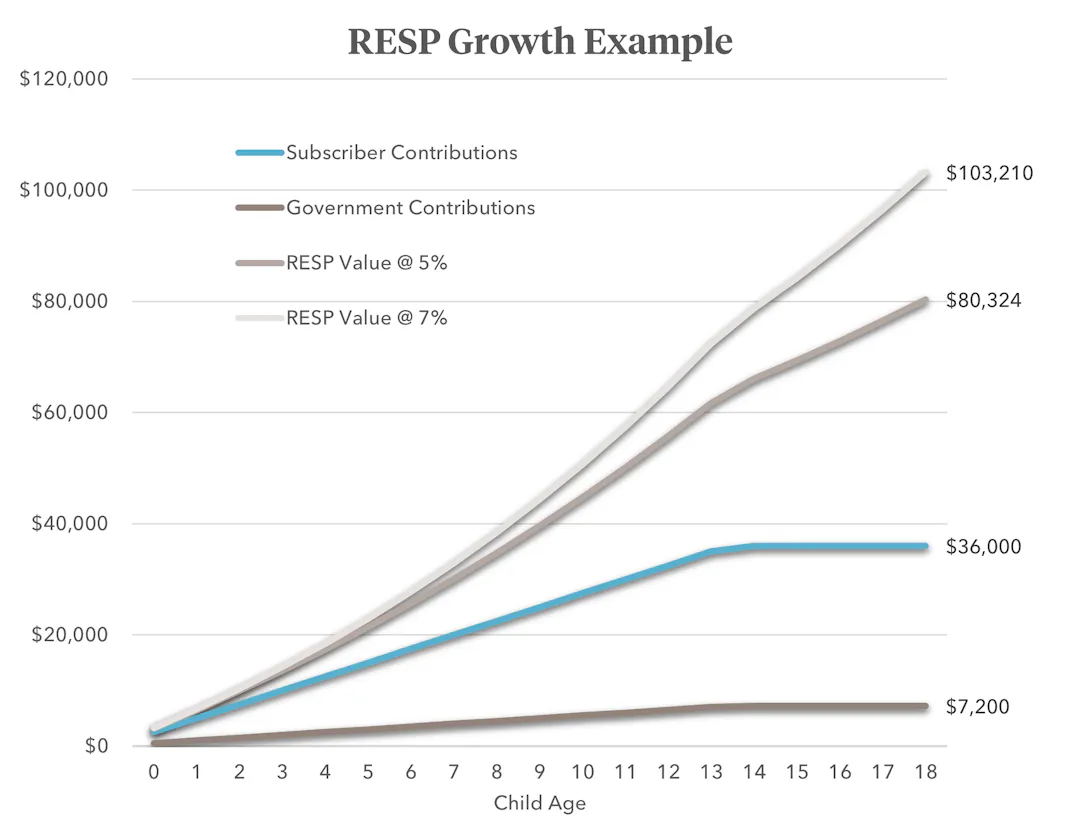 Resp Contribution Log Format Example RESPs: Who, What, When, Where, Why and How | Kinsted