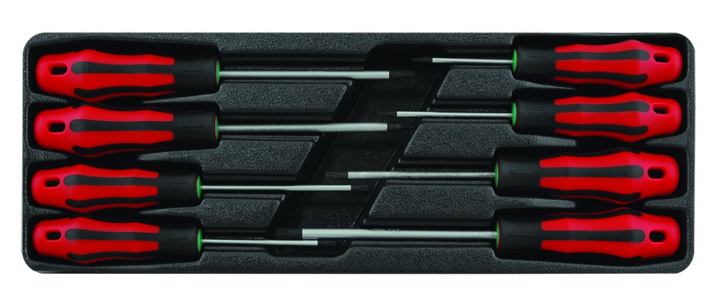 torx-schroevendraaierset