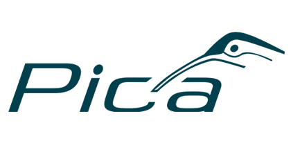 Pica
