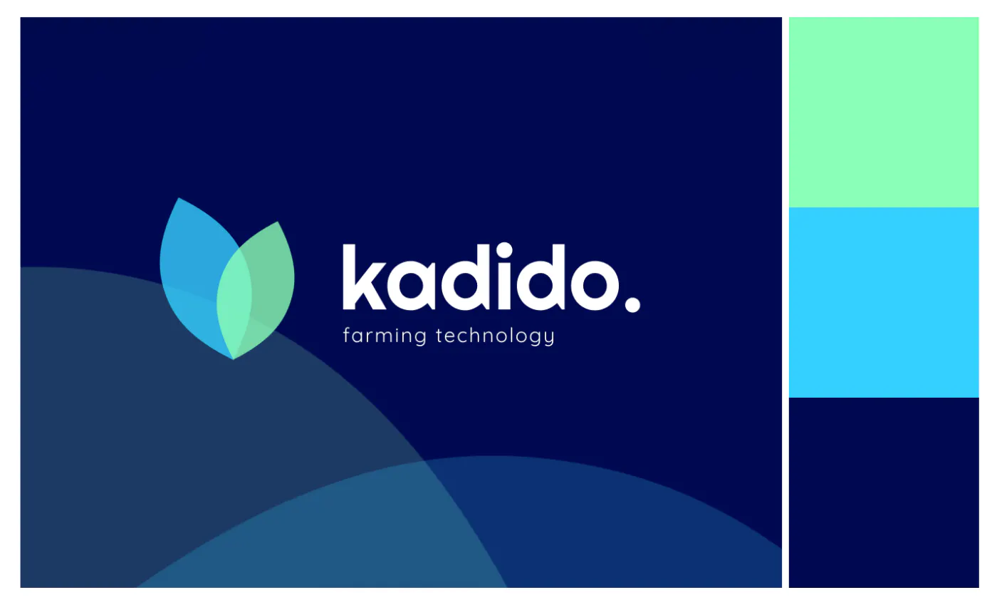 An example of the best color combinations - Kittl